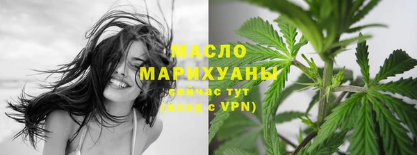 молекула духа Волоколамск